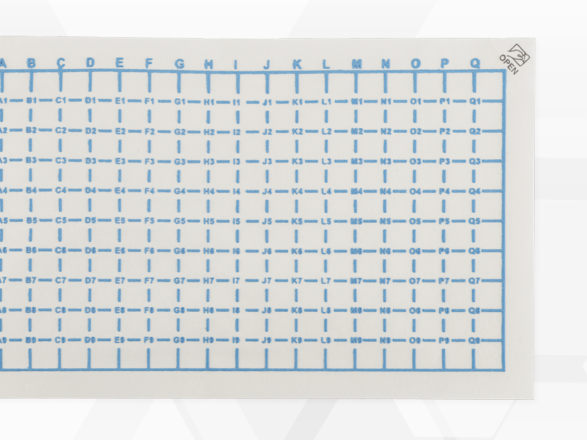 Kit-RP-Regenery-IMG8